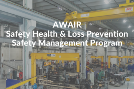 MN AWAIR/Federal SHLP for OECS Associates